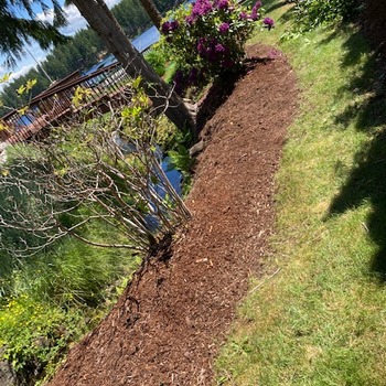 Our Work