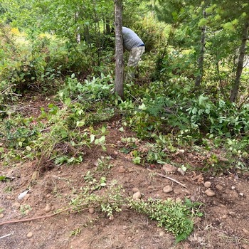 Our Work