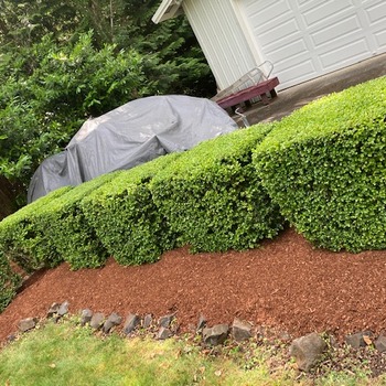 Our Work
