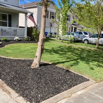 Our Work